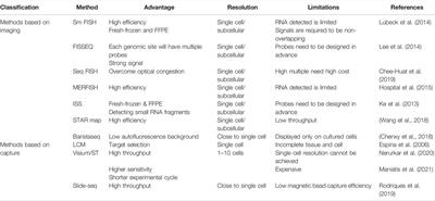 Spatial Transcriptomics for Tumor Heterogeneity Analysis